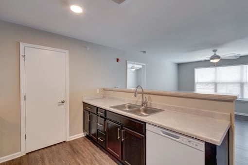 a kitchen with a sink and a dishwasher