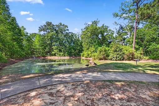 A serene park with a pond and trees.
