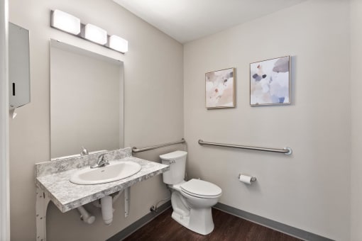a bathroom with a sink and a toilet and a mirror