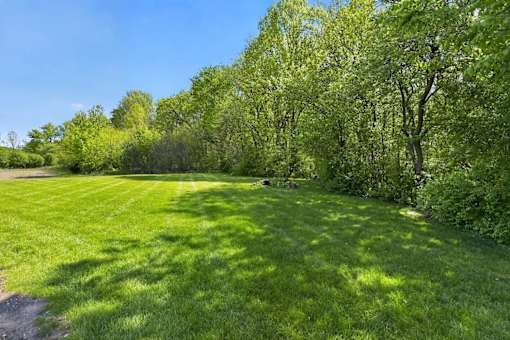 A lush green field with trees in the background.