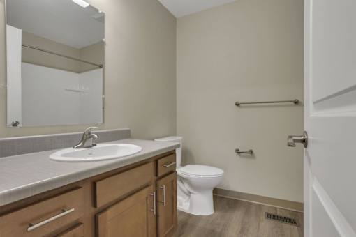 A bathroom with a white toilet and a sink with a mirror above it.