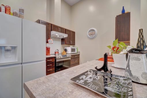 a kitchen with a refrigerator freezer and a stove top oven