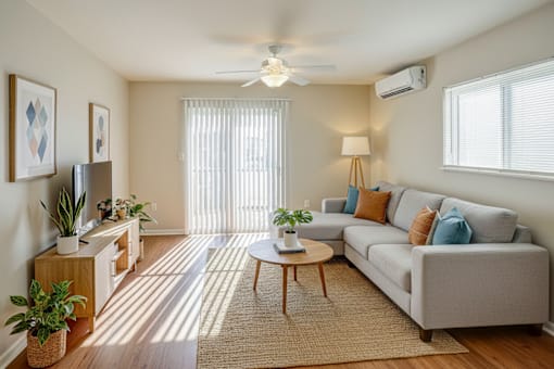 A living room with a grey couch, a coffee table, and a ceiling fan.