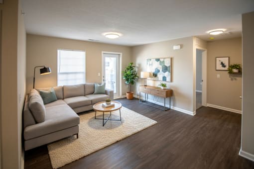 A living room with a grey couch, a coffee table, and a plant.