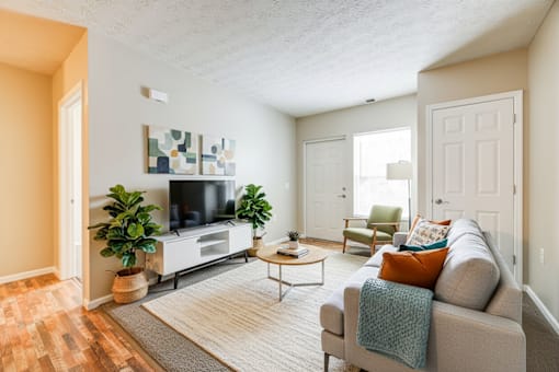 A living room with a grey couch, a coffee table, a television, and a potted plant.