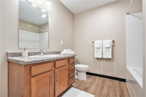 A bathroom with a sink, toilet, and a mirror.