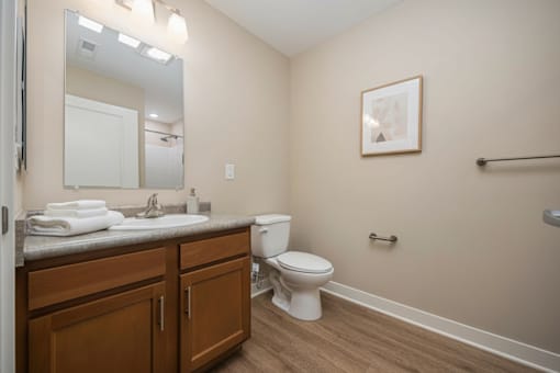 A bathroom with a toilet, sink, mirror, and wooden cabinets.