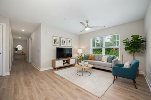 A living room with a television, couch, and a plant.