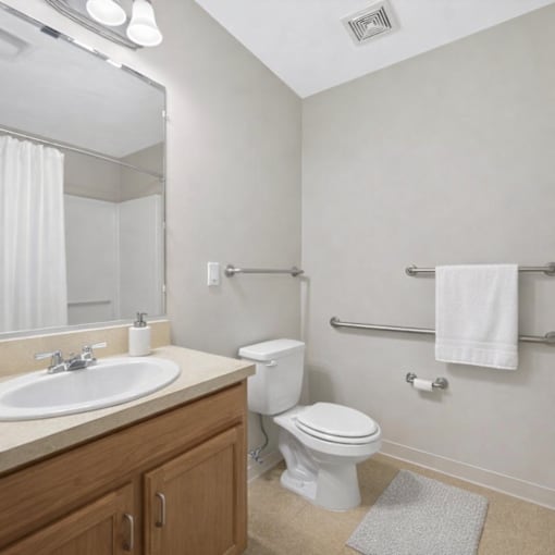 A white toilet sits next to a sink in a bathroom.