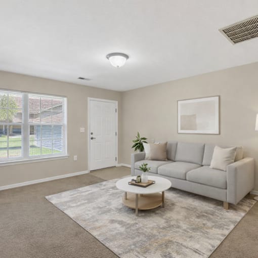 A living room with a grey couch, a coffee table, and a plant.