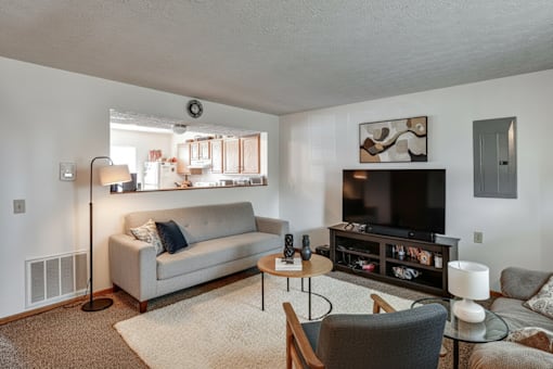 A living room with a grey couch, a black coffee table, and a television.