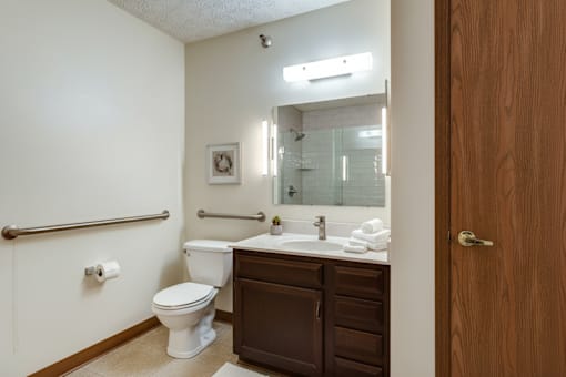 A bathroom with a toilet, sink, and mirror.