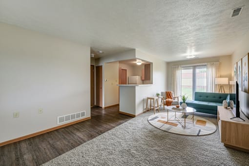 A living room with a grey rug and a green couch.