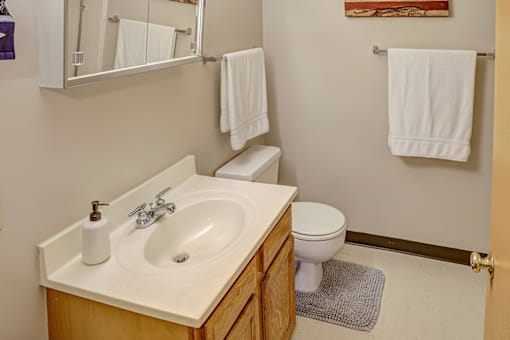 A white toilet sits next to a sink in a bathroom.