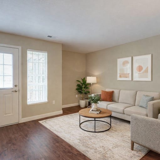 A living room with a grey couch, a coffee table, and a rug.