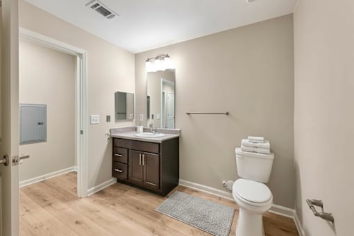 A bathroom with a white toilet and a sink with a mirror above it.