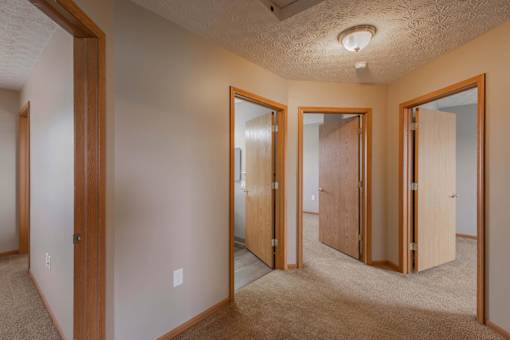 A room with a carpeted floor and a ceiling fan.