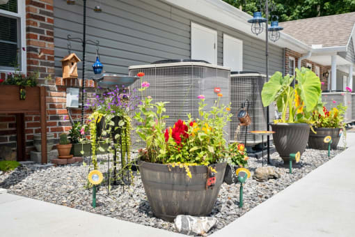 the side yard of a house with a yard filled with potted plants and flowers