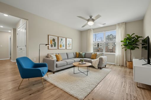 A living room with a blue chair and a grey couch.