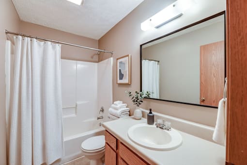 A bathroom with a white toilet, sink, and shower curtain.