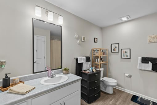 A bathroom with a sink, mirror, toilet, and a cabinet.