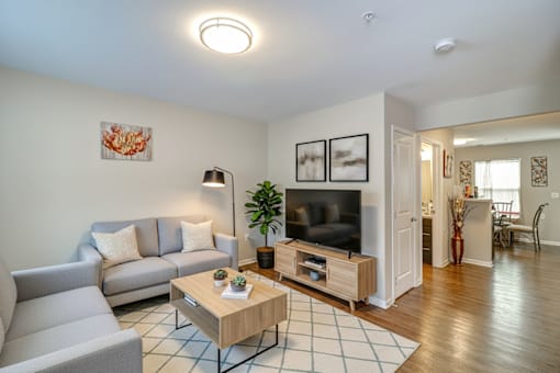 A living room with a grey couch, a wooden coffee table, and a television.