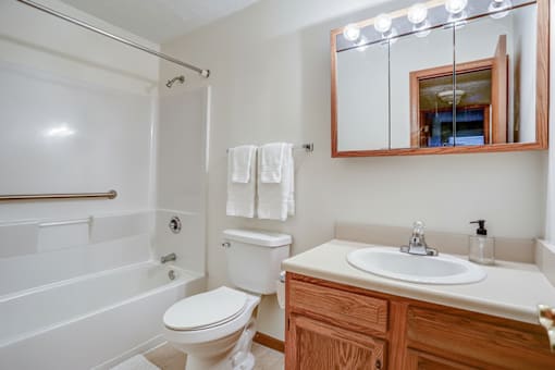 A white toilet sits next to a sink in a bathroom.