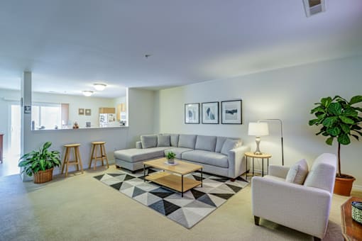 A living room with a grey sofa, a coffee table, and a rug.