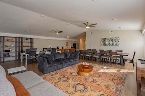 A living room with a grey couch and a rug.
