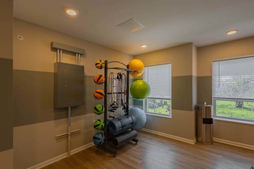 A gym room with a variety of equipment including a weight rack, exercise balls, and a squat rack.