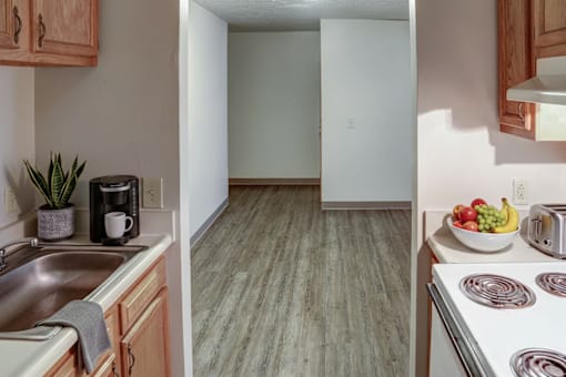 A kitchen with a sink, stove, and a plant on the counter.