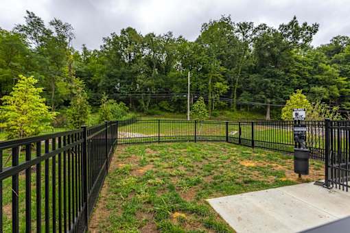 A black fenced area with a sign and a tree in the background.