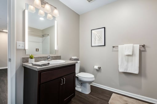 A bathroom with a white toilet, a sink, and a mirror.