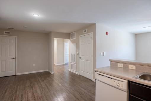 A kitchen with a dishwasher and sink.