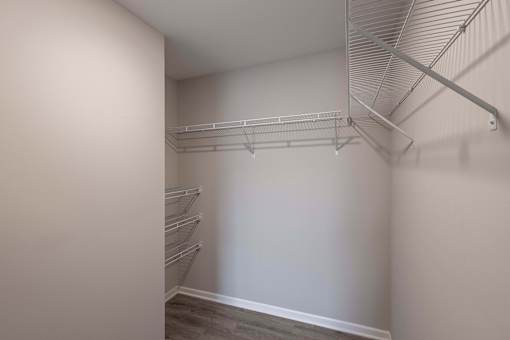 Empty walk-in closet with shelves and a carpeted floor.