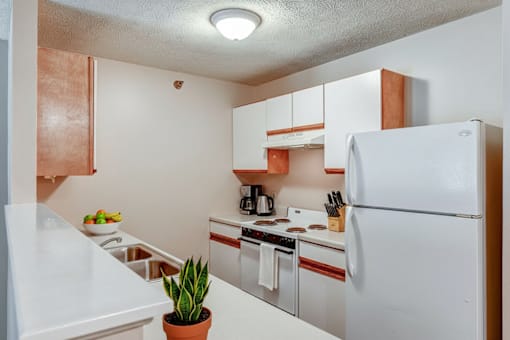 A kitchen with a white refrigerator and wooden cabinets.