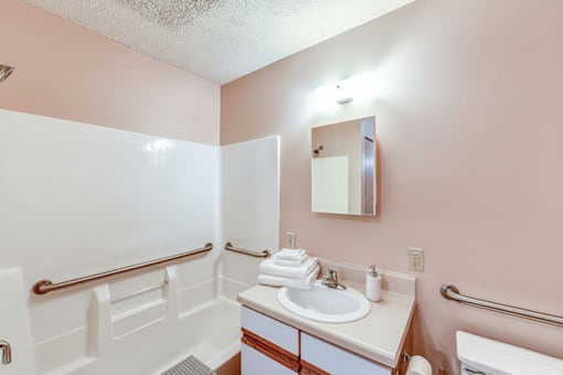 A bathroom with a sink, mirror, and toilet.