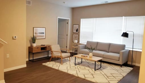 A living room with a grey couch, a coffee table, and a rug.