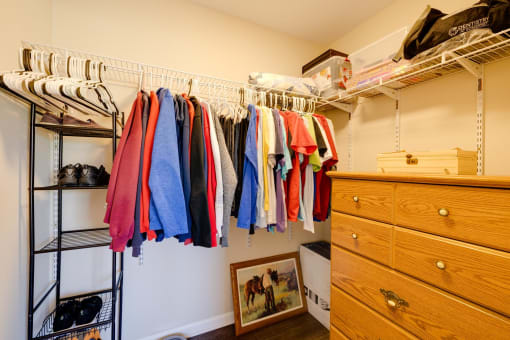 a walk in closet with a dresser and shelves