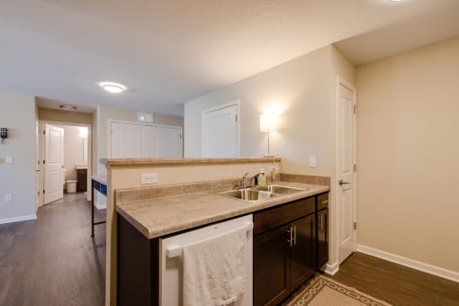 a kitchen with a sink and a dishwasher
