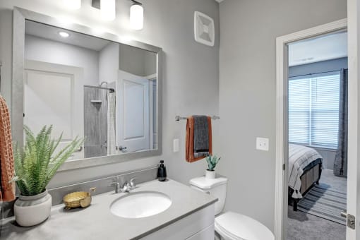 a bathroom with a mirror and a toilet and a sink