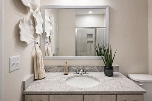 A bathroom with a sink, mirror, and a potted plant.