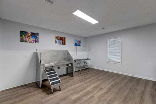 Pet Wash Station