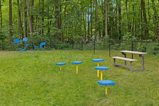 On-site Dog Park