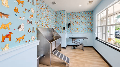 Pet grooming room with a stainless steel dog wash, grooming table, and dog-patterned walls at Icon Cartersville.