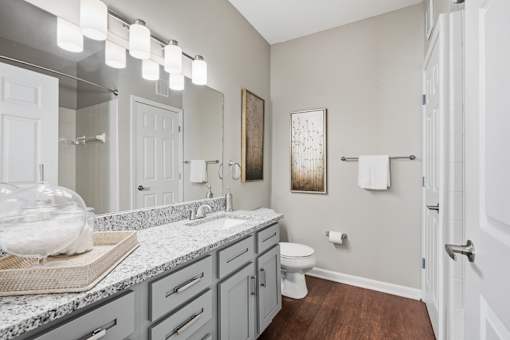 A bathroom with a white toilet and a large mirror above the sink.