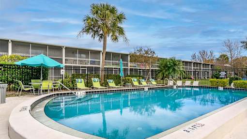 A swimming pool surrounded by chairs and a palm tree.