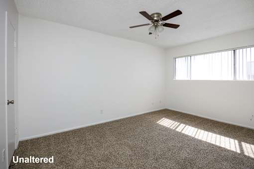 A room with a ceiling fan and a window letting in sunlight.