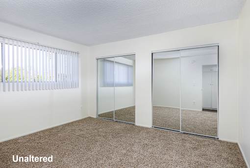 A room with a carpeted floor, a large mirror, and a window with blinds.