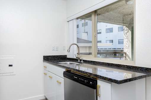 a kitchen with a sink and a window and a dishwasher